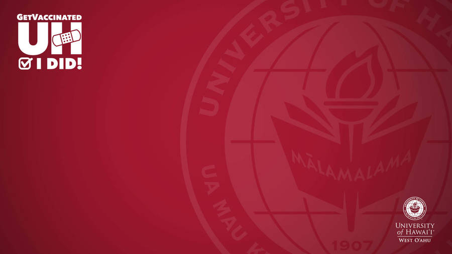 University Of Hawaii Red Zoom Background Wallpaper