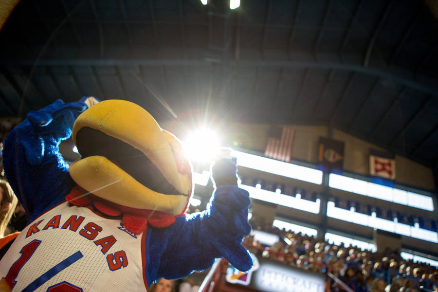 University Of Kansas Mascot Inside Gym Wallpaper