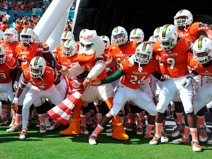 University Of Miami Hurricanes With Mascot Wallpaper