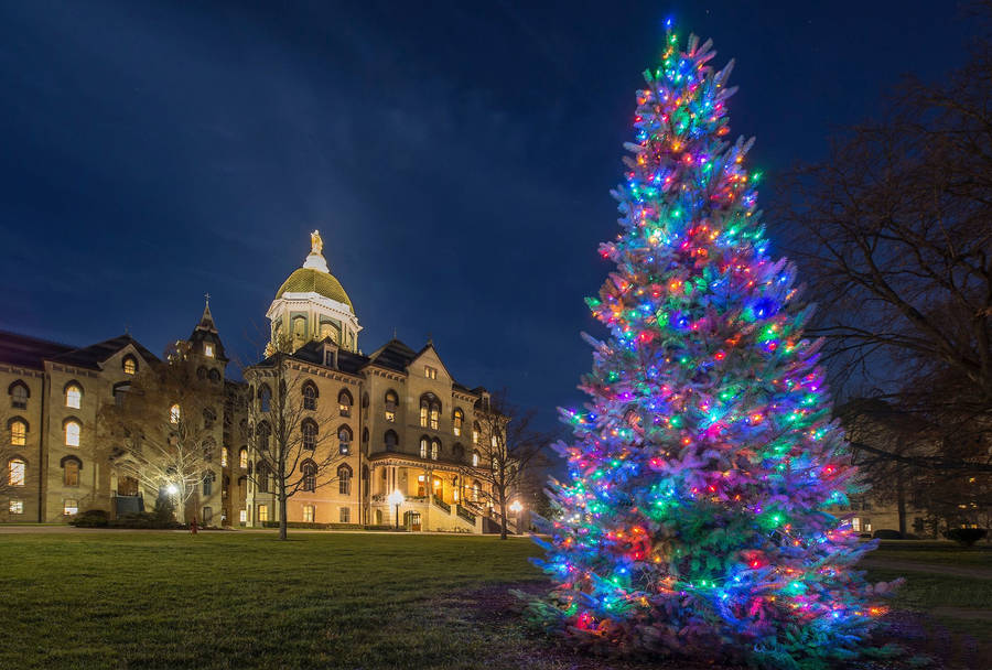 University Of Notre Dame Christmas Tree Wallpaper