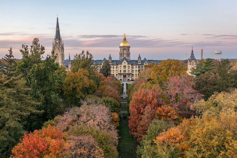 University Of Notre Dame The Main Building Wallpaper