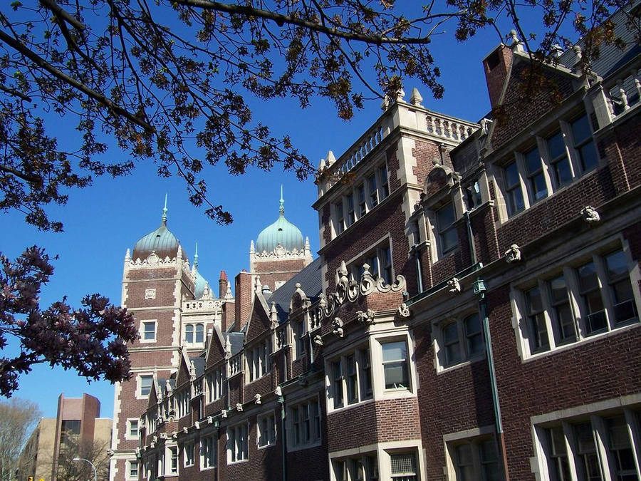 University Of Pennsylvania Colonial Buildings Wallpaper