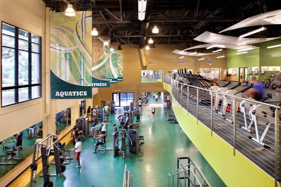 University Of South Florida Student Wellness Center Wallpaper