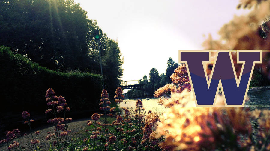 University Of Washington Garden Wallpaper