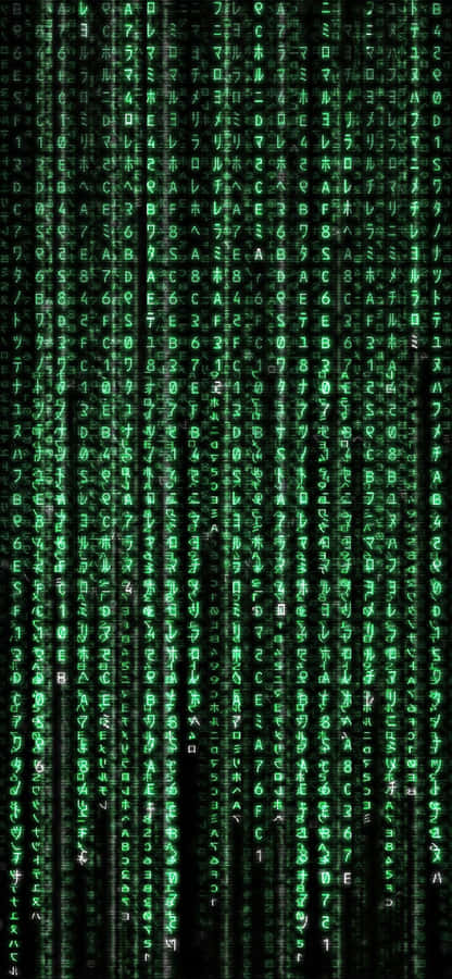 Unlock The Power Of The Matrix Iphone Wallpaper