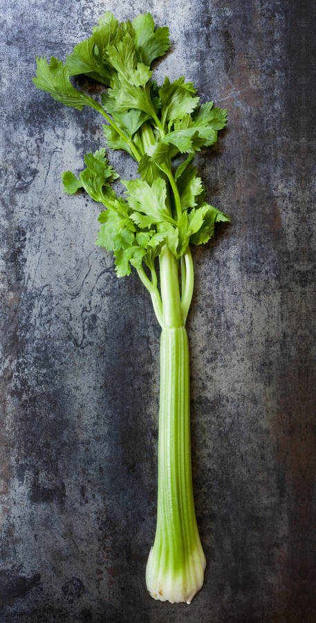 Unusual Textured Celery Stalk Wallpaper