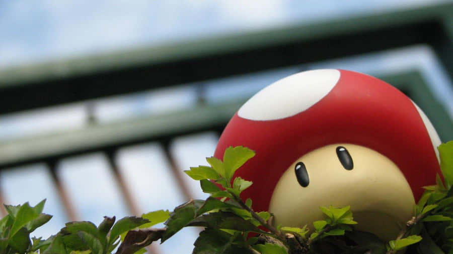 Up The Stakes With Cute Gaming Wallpaper