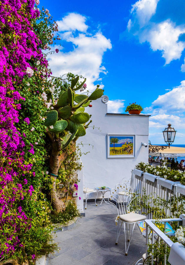 Urban Balcony Garden On A Bright Day Wallpaper