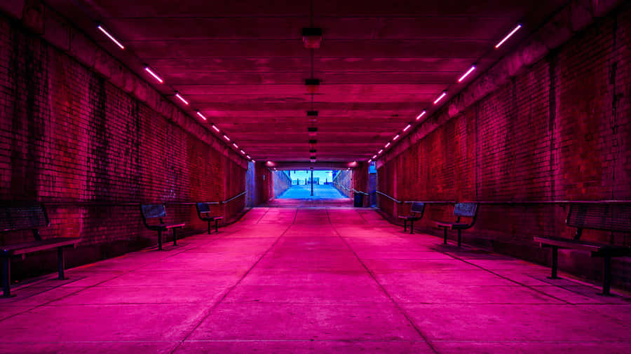 Urban Tunnelwith Pink Lighting Wallpaper