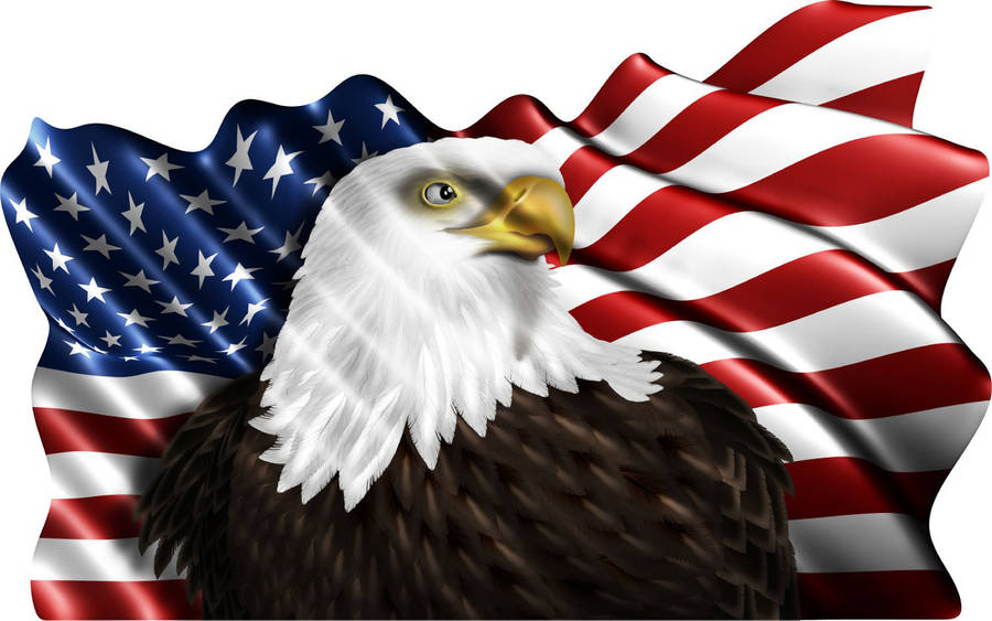 Us Eagle With American Flag Wallpaper