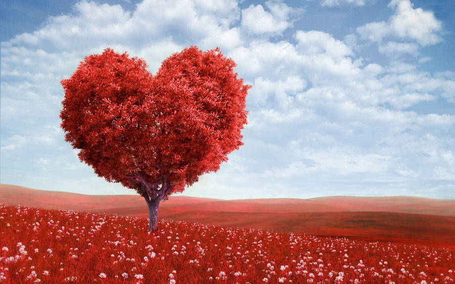 Valentine's Heart Tree Wallpaper