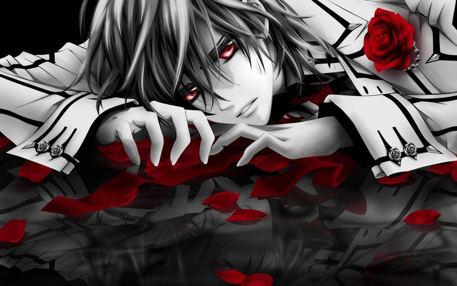 Vampire Cool Boy Anime Wallpaper