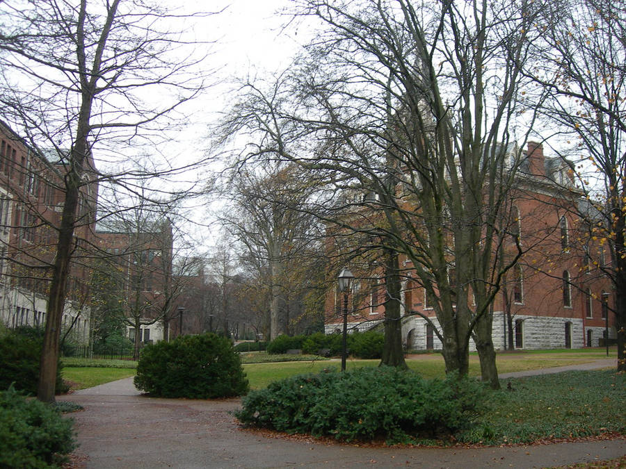 Vanderbilt University Bare Trees Wallpaper