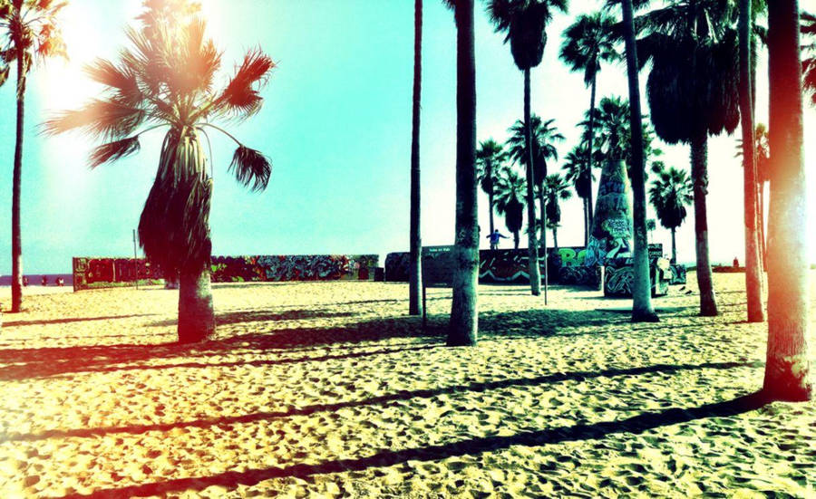 Venice Beach Bright Sunlight Wallpaper