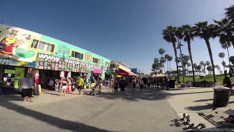 Venice Beach Store Trees Wallpaper