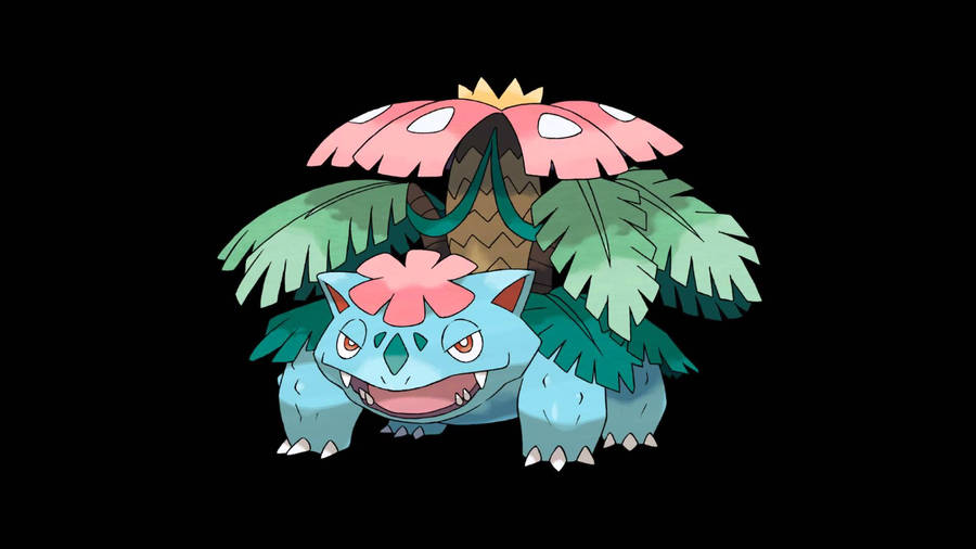 Venusaur Mega Black Background Wallpaper