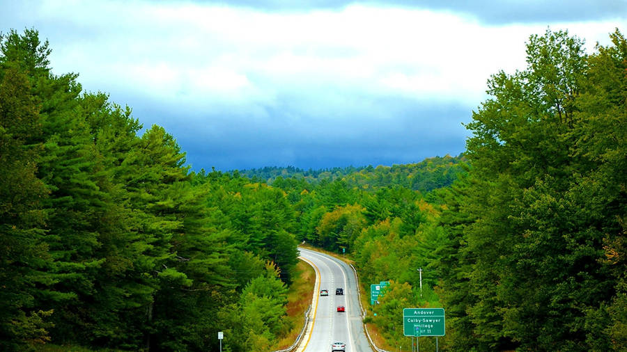 Vermont Forest Road Wallpaper