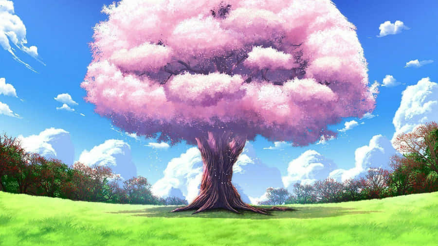 Vibrant Anime Cherry Blossom Tree Wallpaper