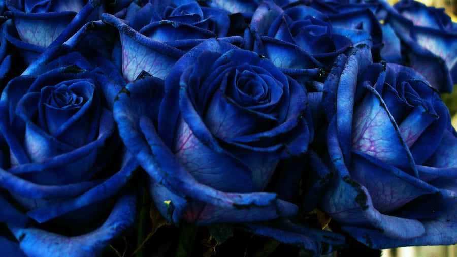 Vibrant Blue Pc Setup Wallpaper