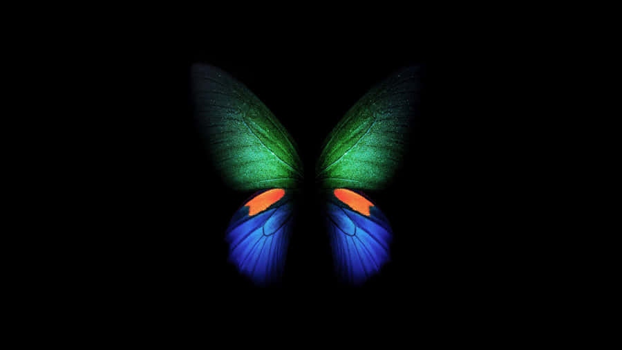 Vibrant Butterflyon Black Background Wallpaper