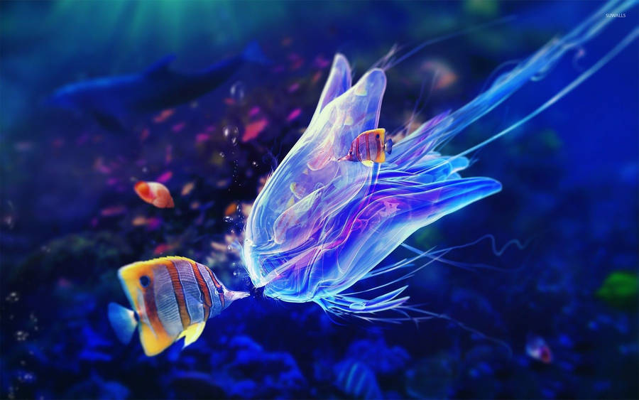 Vibrant Fish And Jellyfish Wallpaper