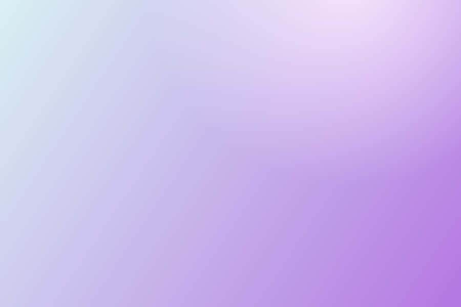 Vibrant Lilac Color Blooms Wallpaper