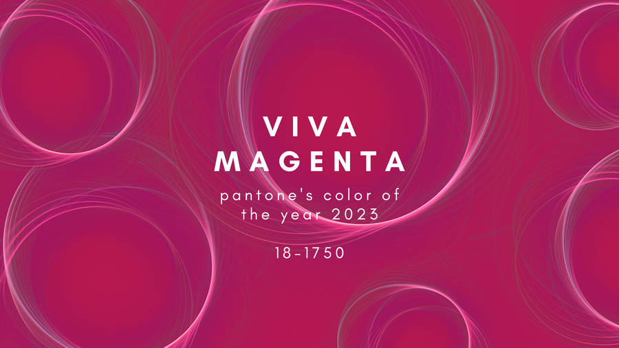 Vibrant Magenta Shade - Color Of The Year 2023 Wallpaper