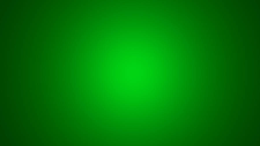 Vibrant Plain Green Wallpaper