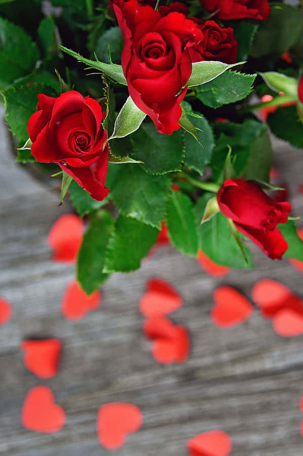 Vibrant Red Roses With Petals Wallpaper