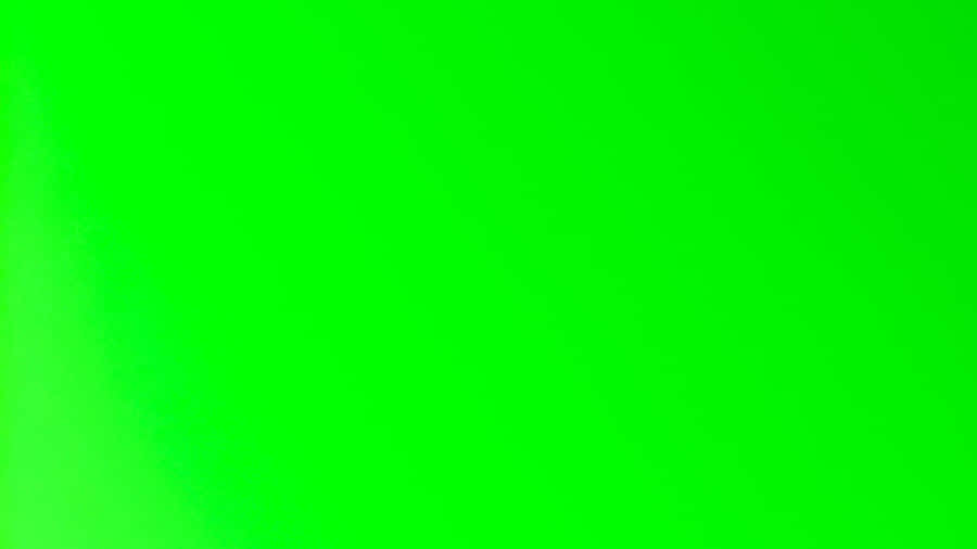 Vibrant Solid Green Wallpaper Wallpaper