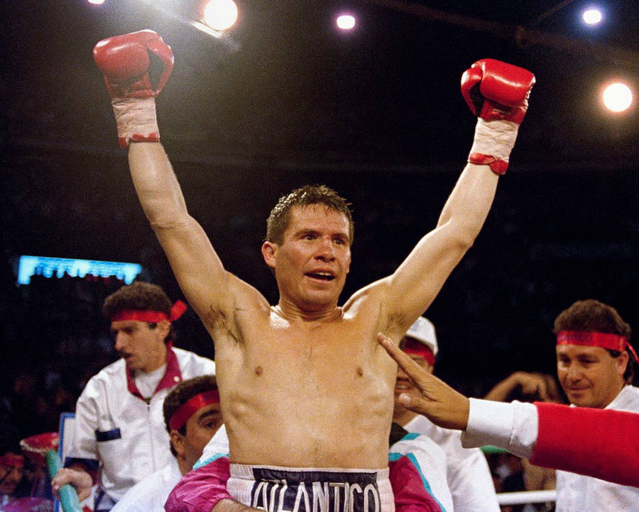 Victorious Julio Cesar Chavez Wallpaper