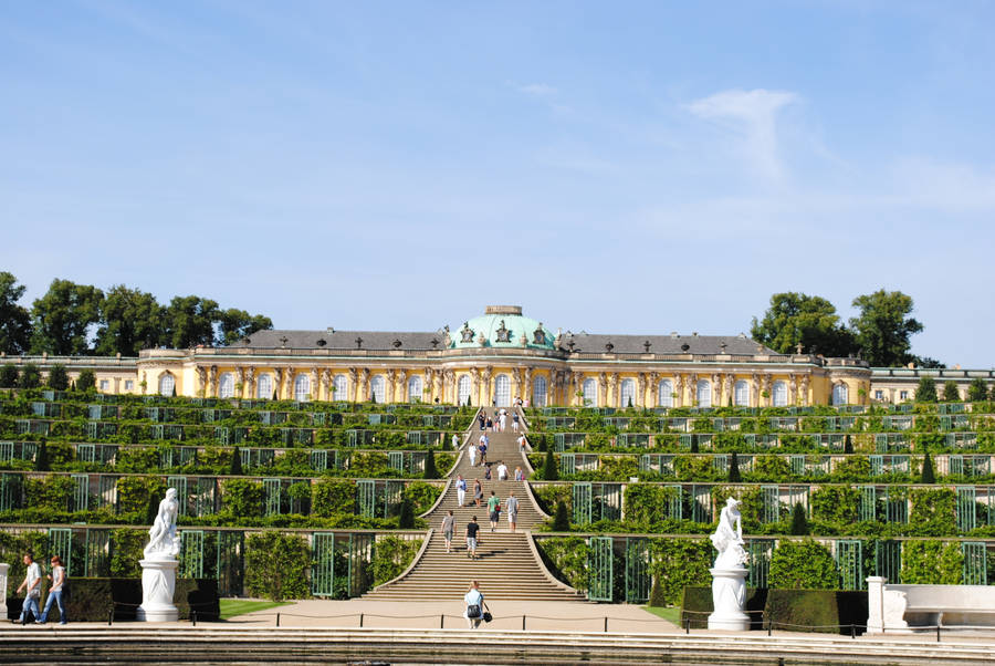 Vineyard In Sanssouci Palace Potsdam Wallpaper