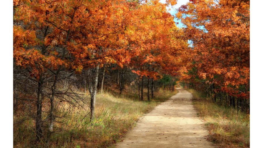Vintage Autumn Realistic Painting Wallpaper