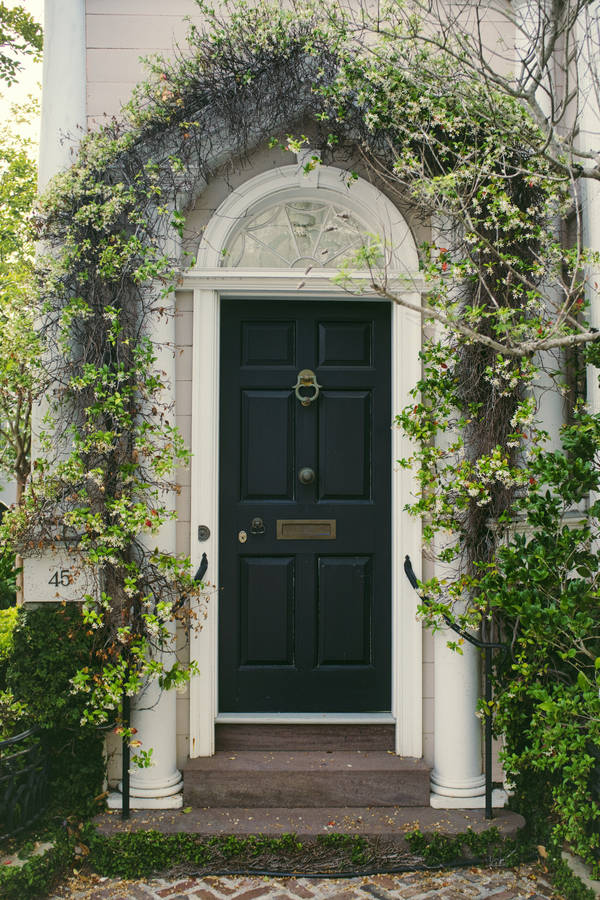 Vintage Dark Green Wood Door Wallpaper