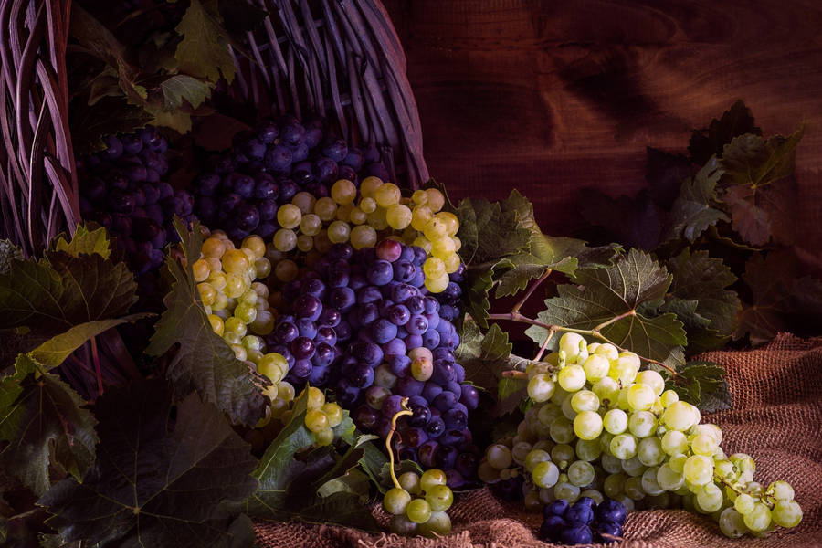 Vintage Grape Photography Wallpaper