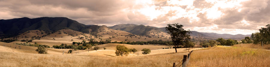 Vintage Looking Hillside Wallpaper