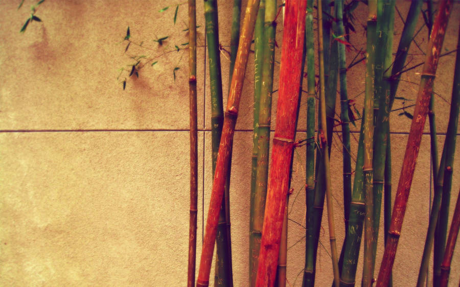 Vintage Retro Bamboo 4k Wallpaper