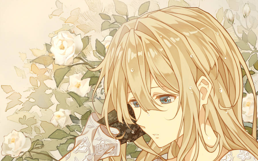 Violet Evergarden White Roses Close Up Wallpaper