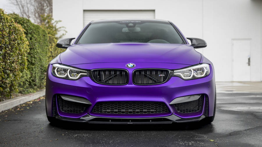 Violet Vorsteiner Full Hd Bmw Wallpaper