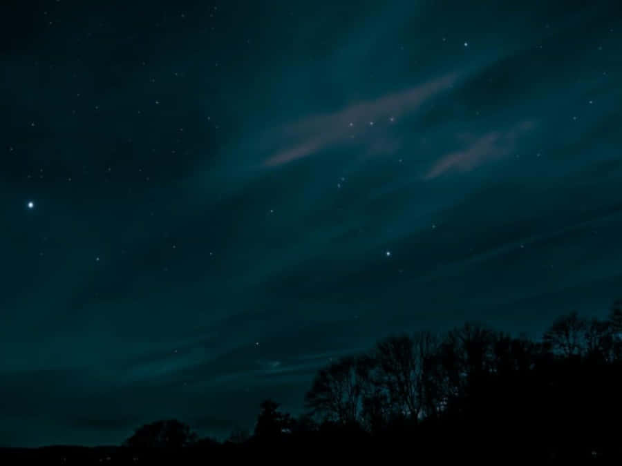 Visible Forest Silhouette Wallpaper