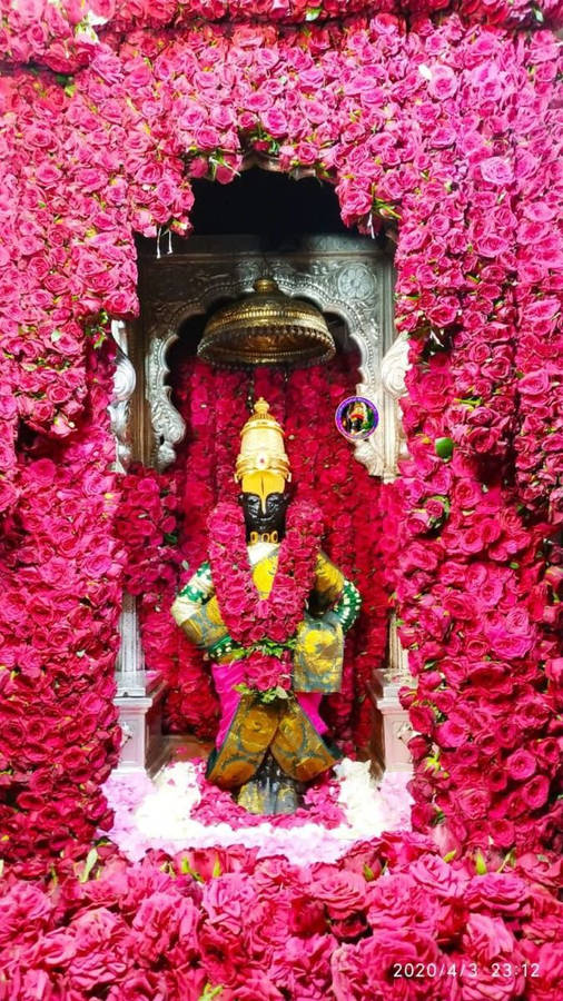 Vitthal Chantry Full Of Pink Flowers Wallpaper