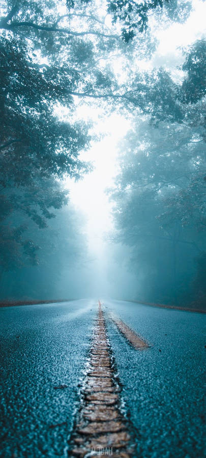 Vivo Y11 Foggy Road Wallpaper