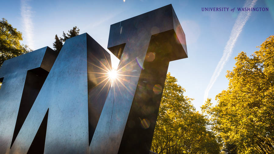 W Sign At University Of Washington Wallpaper