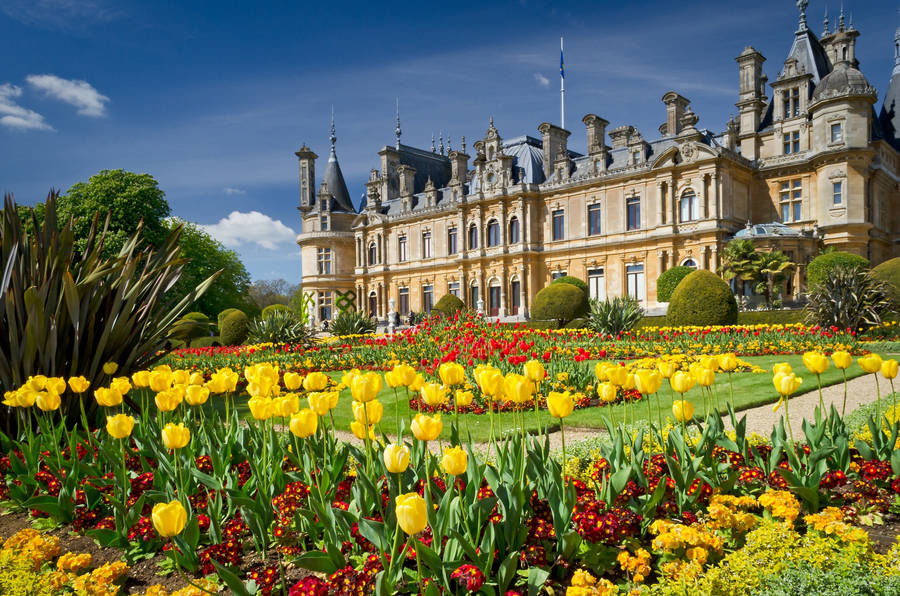 Waddesdon Manor Garden England Wallpaper