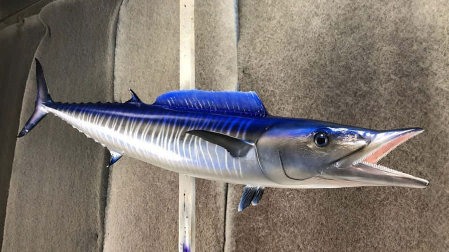 Wahoo Fish On Boat Deck Wallpaper