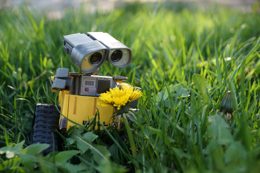 Wall E In The Grass Wallpaper