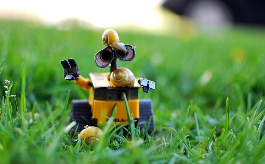 Wall E Toy With Snails Wallpaper