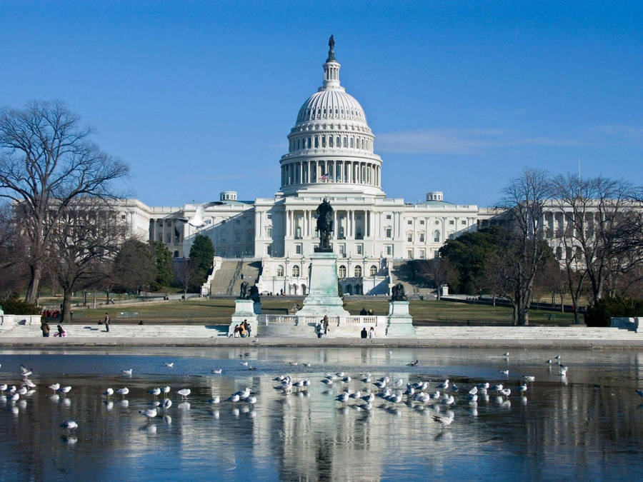 Washington, Dc Statues Wallpaper