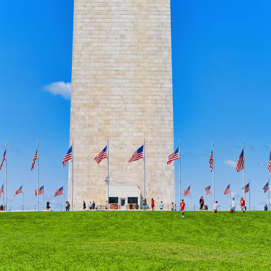 Washington Monument Bright Base Wallpaper