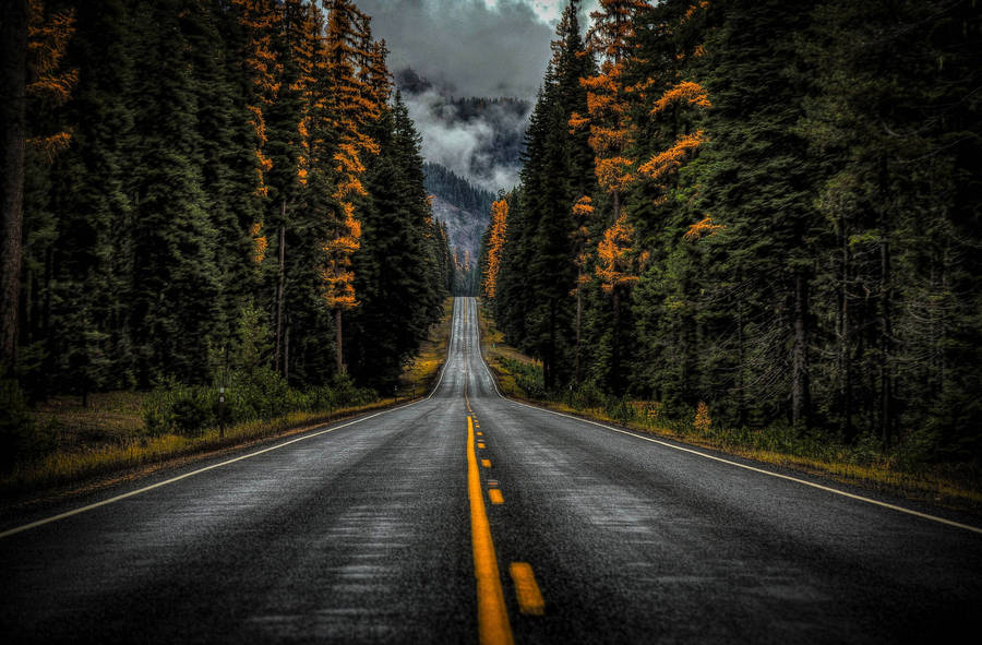 Washington State Route 410 Wallpaper